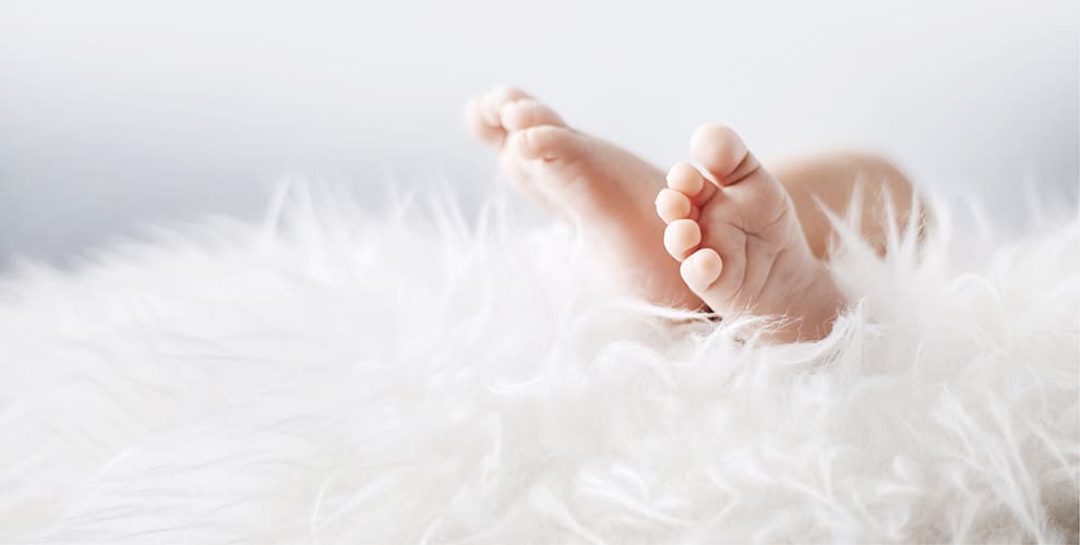 Liste de naissance de Fanny et Eliandro Liste de naissance de Fanny et Eliandro
