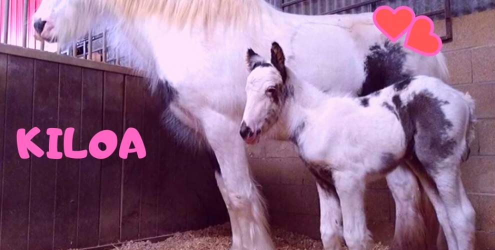 Liste de naissance de Céline et Damien