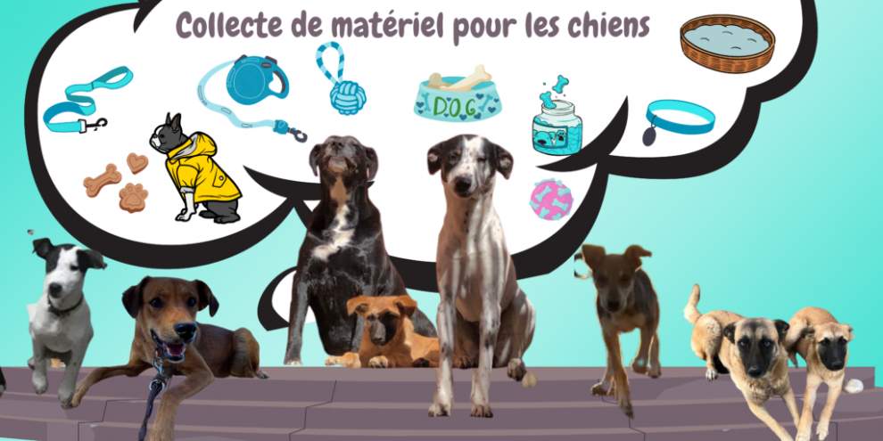Liste de cadeaux de elodie Liste de cadeaux de elodie