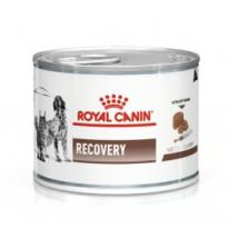 ROYAL CANIN Veterinary Mousse Recovery pour chien et chat